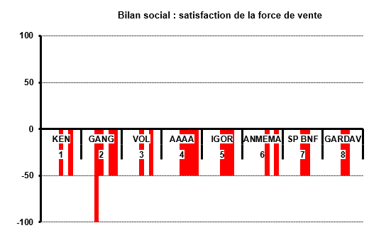 BilanSocial.PNG